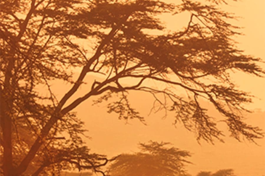Kongo, Africa