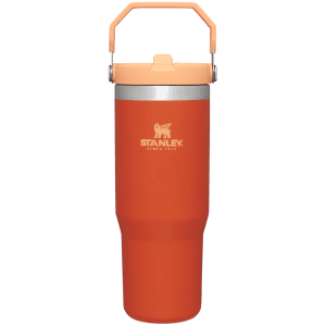 Stanley - Canada, The IceFlow Flip Straw Tumbler | 30 OZ | 0.88 L