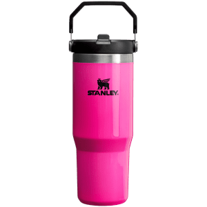 Stanley - Canada, The Neon IceFlow Flip Straw Tumbler | 30 OZ | 0.88 L