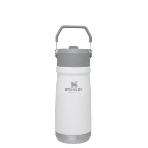 Stanley - Canada, The IceFlow Flip Straw Water Bottle &verbar; 17 OZ