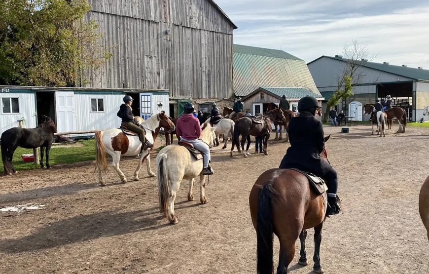 Horseback Riding & Nature Escape from Toronto RV-Motorhome Tour