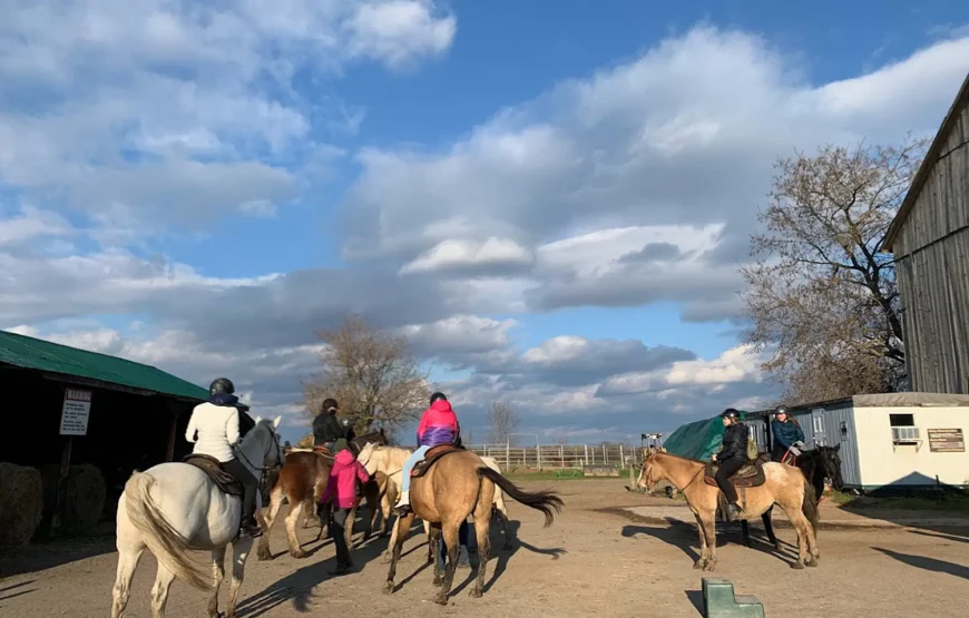 Horseback Riding & Nature Escape from Toronto RV-Motorhome Tour