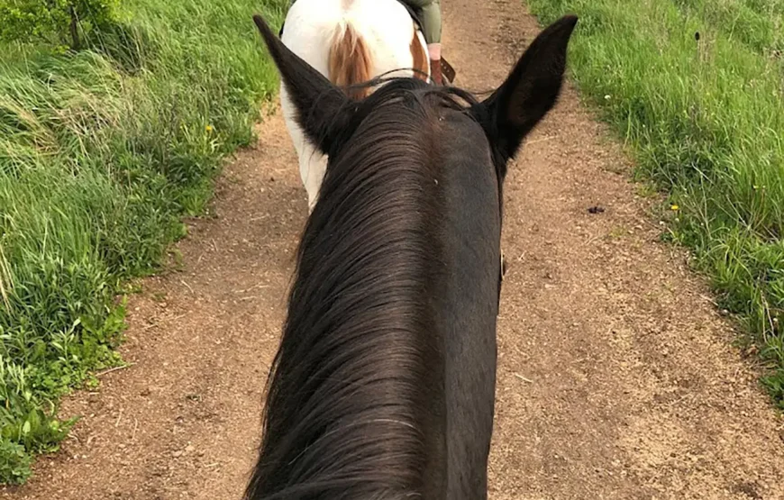 Horseback Riding & Nature Escape from Toronto RV-Motorhome Tour
