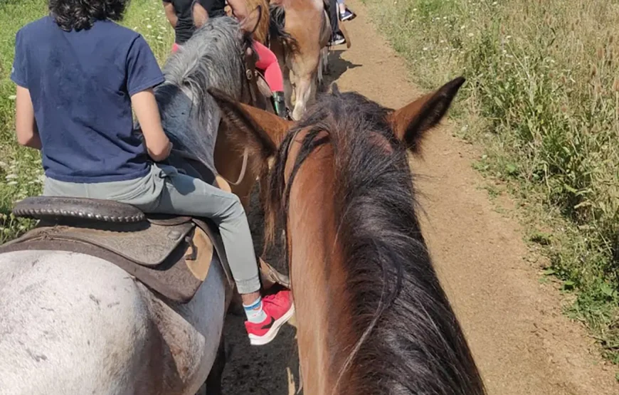 Horseback Riding & Nature Escape from Toronto RV-Motorhome Tour