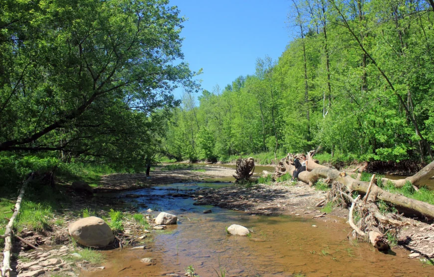 Horseback Riding & Nature Escape from Toronto RV-Motorhome Tour