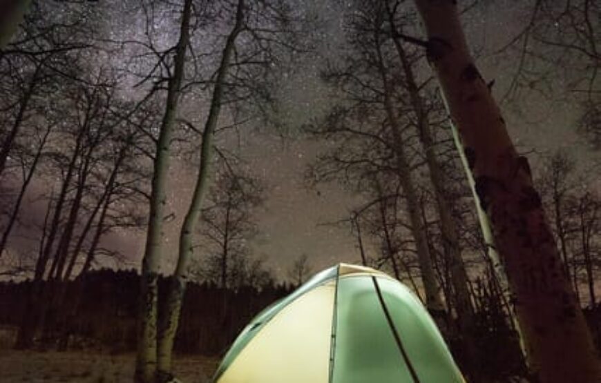 Winter Camping Adventure in Muskoka: Northern Lights Escape RV-Motorhome Tour