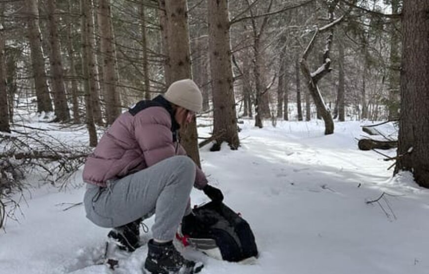 Winter Camping Adventure in Muskoka: Northern Lights Escape RV-Motorhome Tour