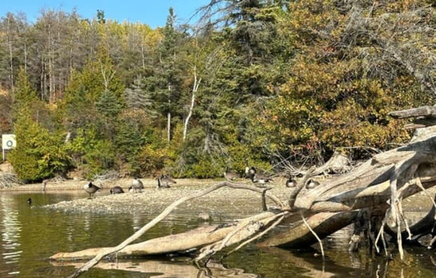 Kayaking tour on Island Lake from Toronto on RV – Motorhome