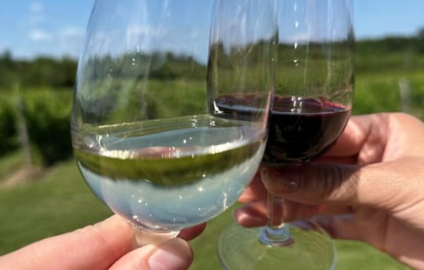 Niagara Falls Wine Tour from Toronto on RV – Motorhome