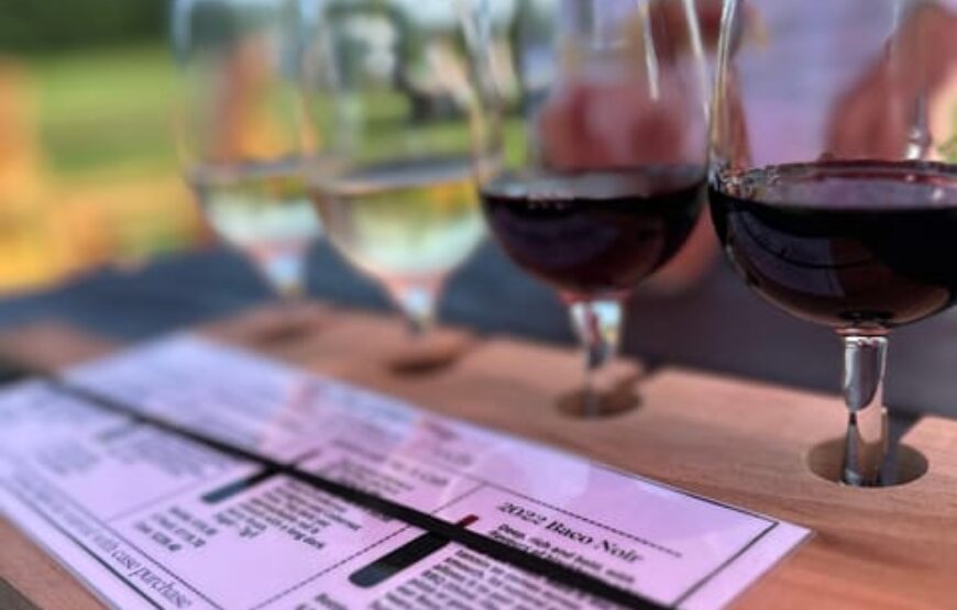 Niagara Falls Wine Tour from Toronto on RV – Motorhome