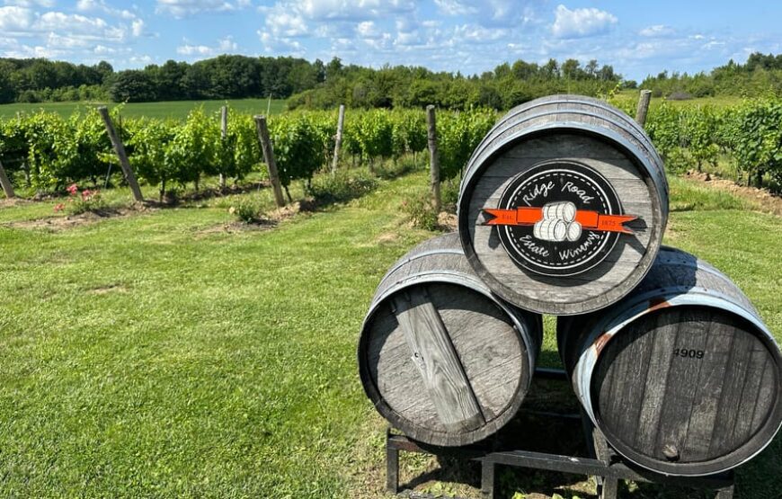 Niagara Falls Wine Tour from Toronto on RV – Motorhome