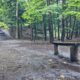 Hiking Adventure in Rouge National Urban Park with MY IVVI