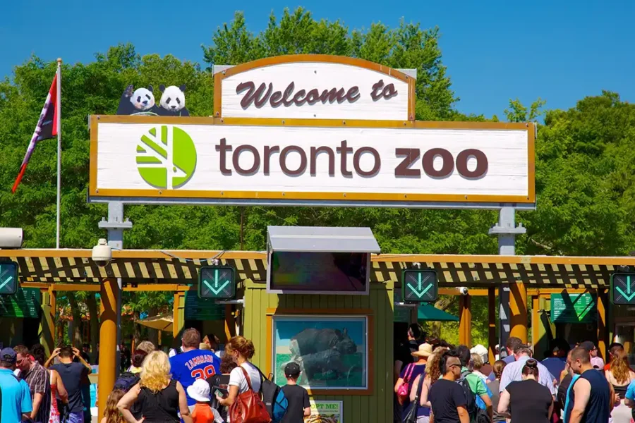 Guided tour of the Toronto Zoo Zoo admission ticket Expert guide from MY IVVI Interactive animal experience Personalized route and content based on preferences Access to exclusive areas (if available) Free zoo map and educational material