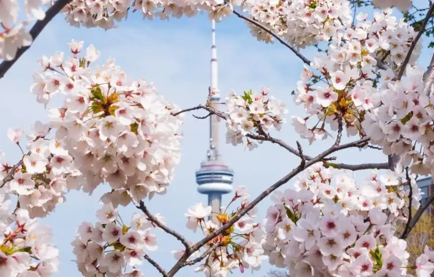 Toronto, ON Canada
