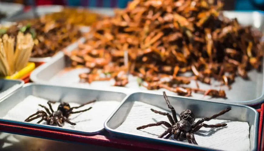 10 Weirdest Street Foods from Around the World