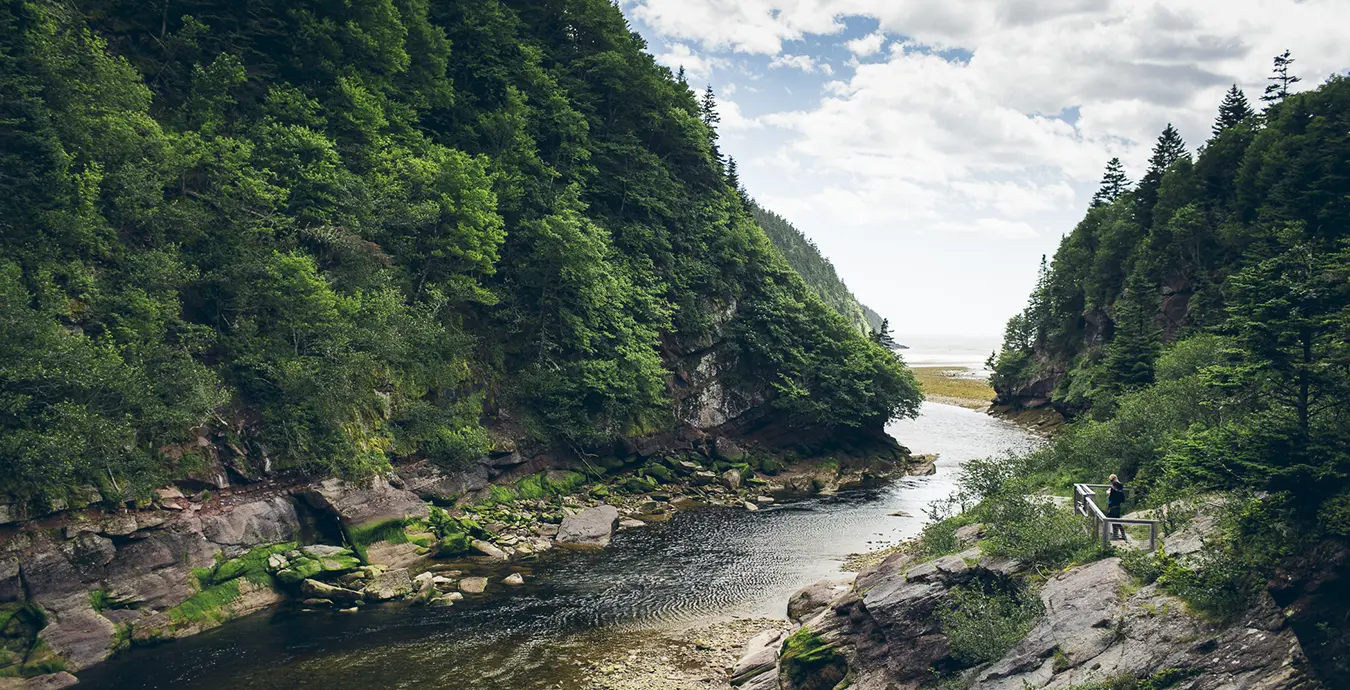 Canadian camping adventures - Fundy National Park, New Brunswick