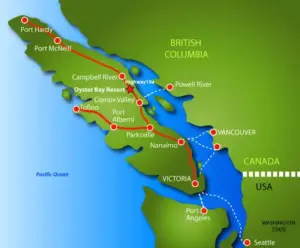 whale watching in Canada - vancouver-island