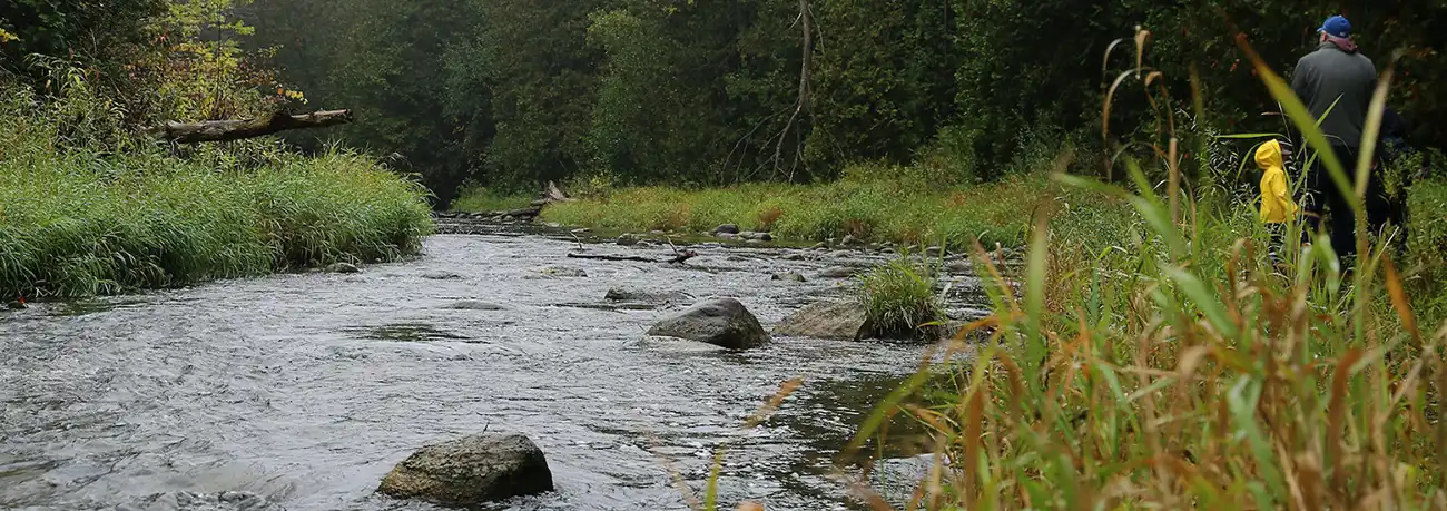 Salmon Fishing in Ontario