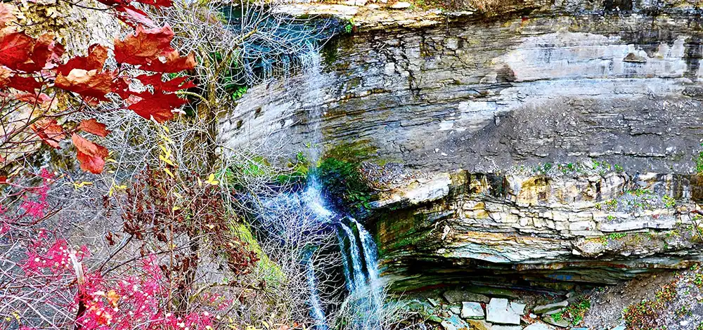 Waterfalls Near Hamilton - Buttermilk Falls