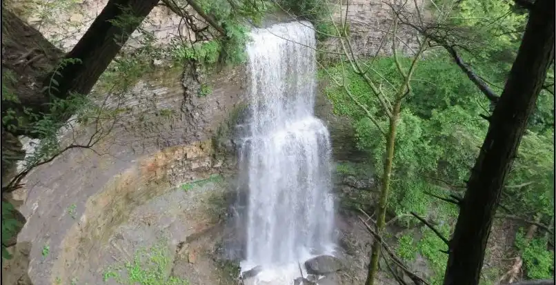 Waterfalls Near Hamilton - felkers falls