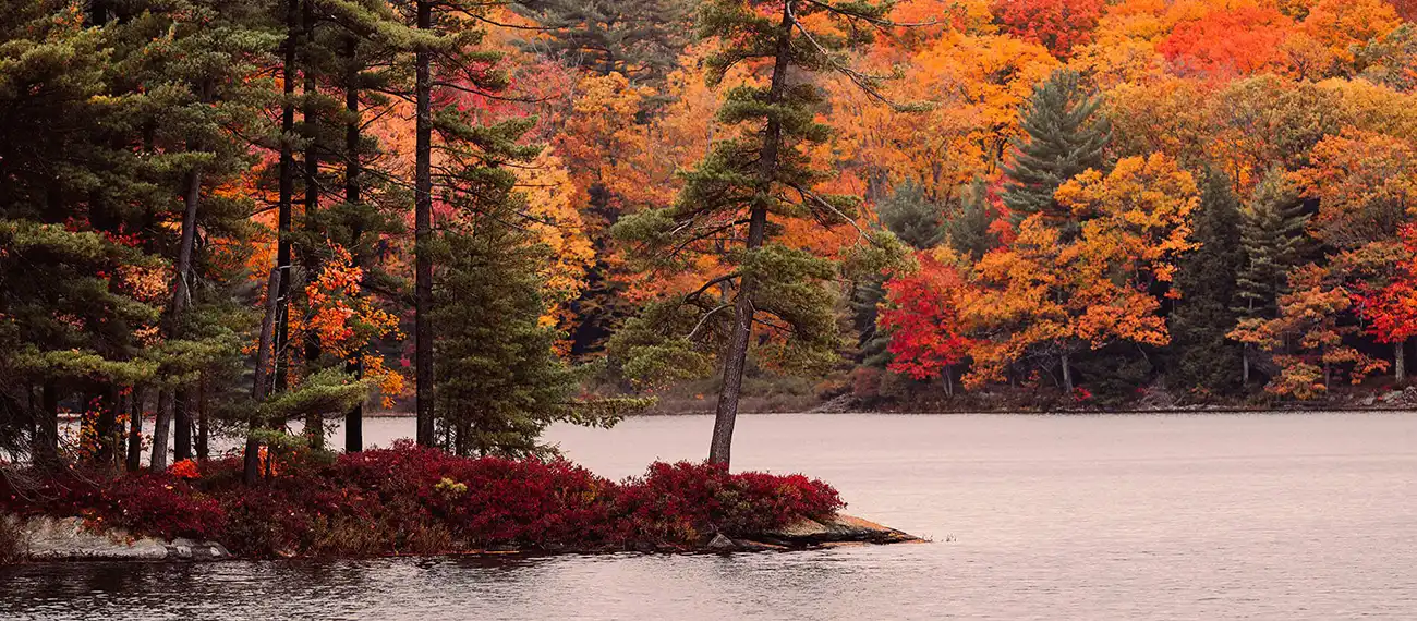 Magic of Fall Foliage in Ontario on a Motorhome Adventure