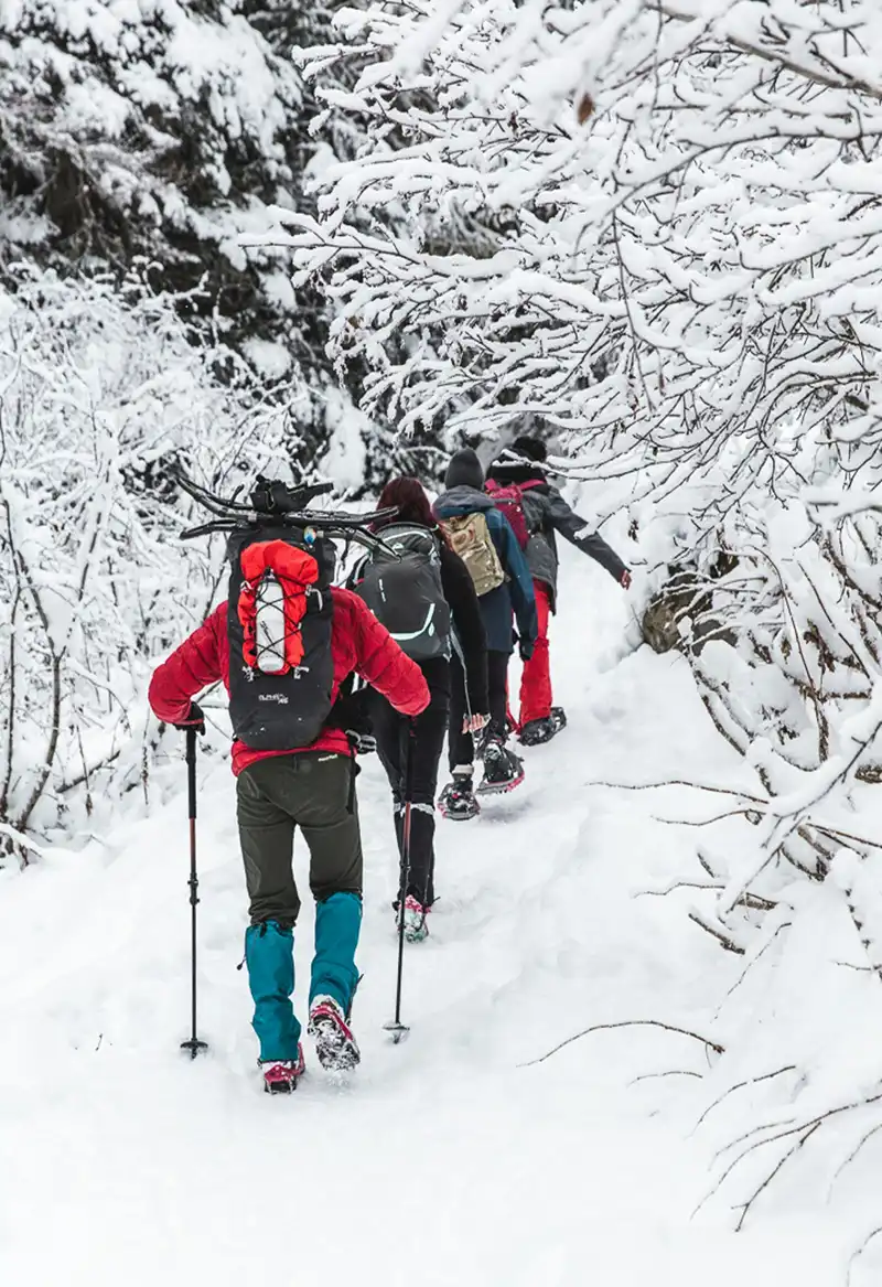 Join us for a one-day winter hike just outside Toronto! Explore snowy trails, breathtaking canyon views, and a historic Indigenous village