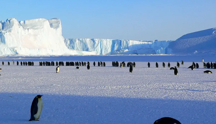 Antarctica