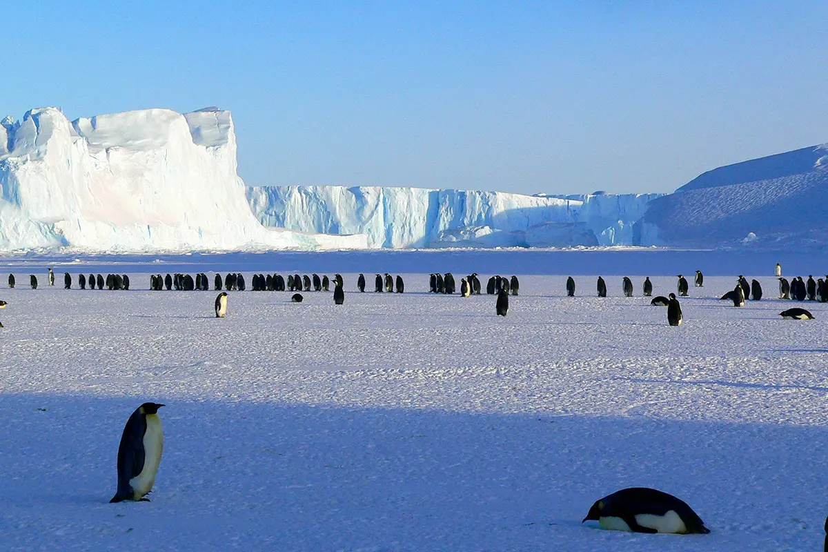 Antarctica