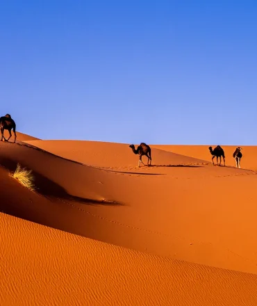 Discover Morocco: Top Things to Do in This Magical Land