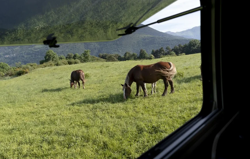 Horseback Riding & Nature Escape from Toronto RV-Motorhome Tour