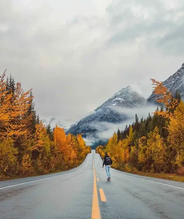 Fall foliage Alberta