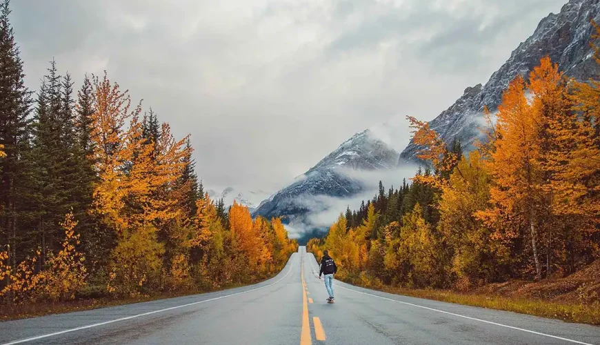 Fall foliage Alberta