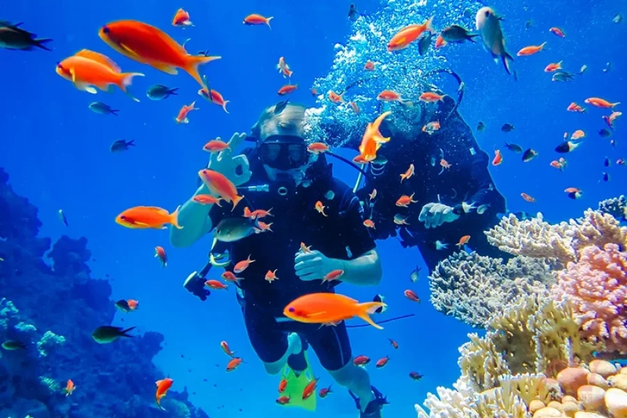 Scuba diving in Nha Trang