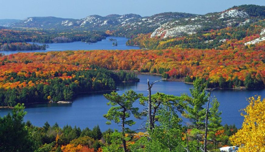 Lakeside Camping in Ontario: A Perfect Escape into Nature