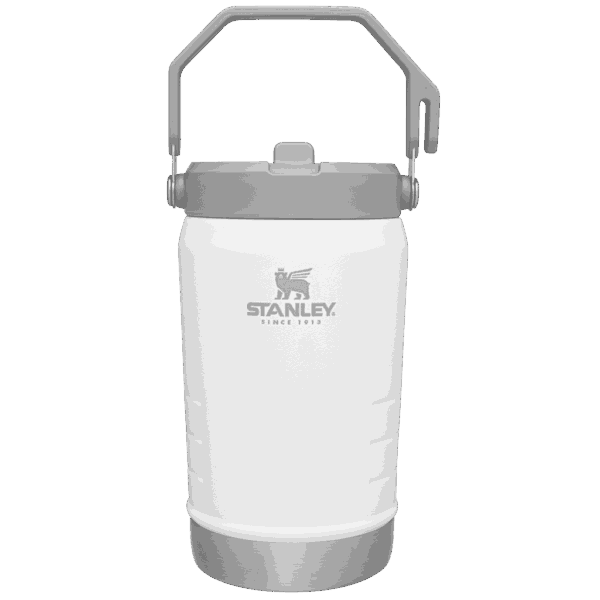 Stanley - Canada, The IceFlow Flip Straw Jug &verbar; 40 OZ &verbar; 1.18 L