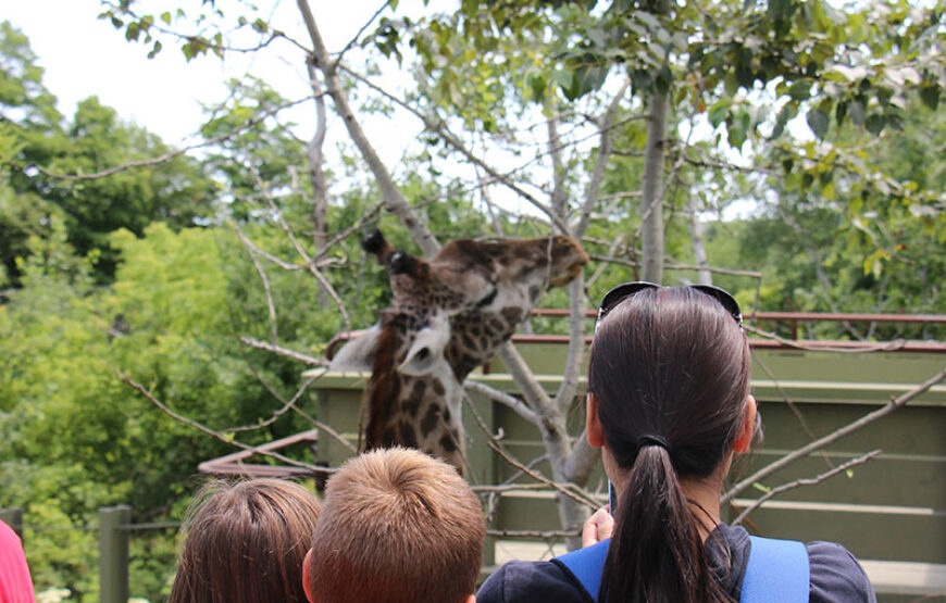 Toronto Zoo Adventure