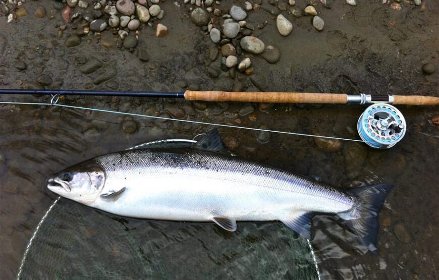 Salmon Fishing Tour Near Wasaga Beach RV-Motorhome Tour