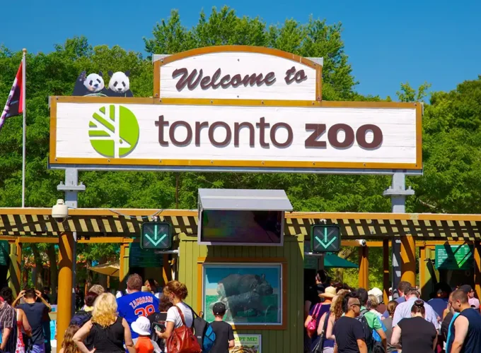 Guided tour of the Toronto Zoo Zoo admission ticket Expert guide from MY IVVI Interactive animal experience Personalized route and content based on preferences Access to exclusive areas (if available) Free zoo map and educational material