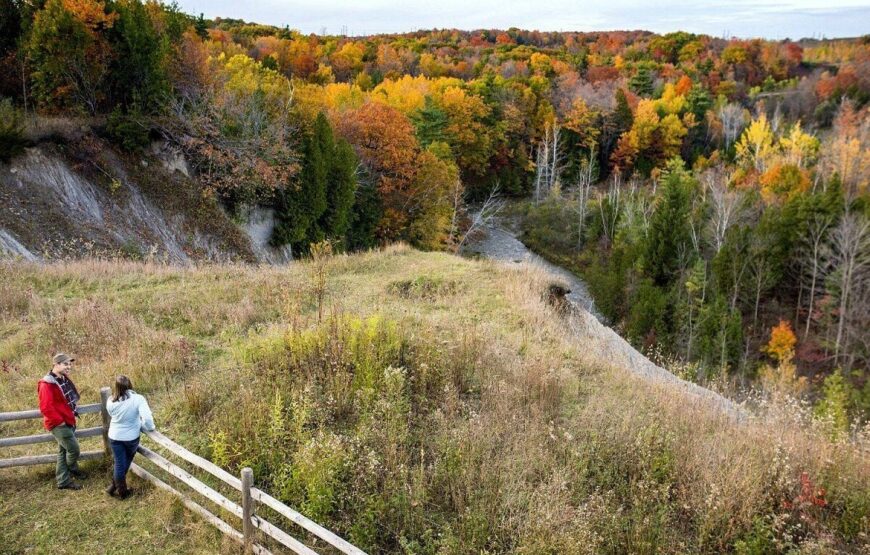 Hiking Adventure in Rouge National Urban Park with MY IVVI