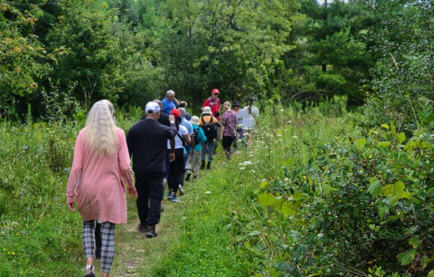 Hiking Adventure in Rouge National Urban Park with MY IVVI