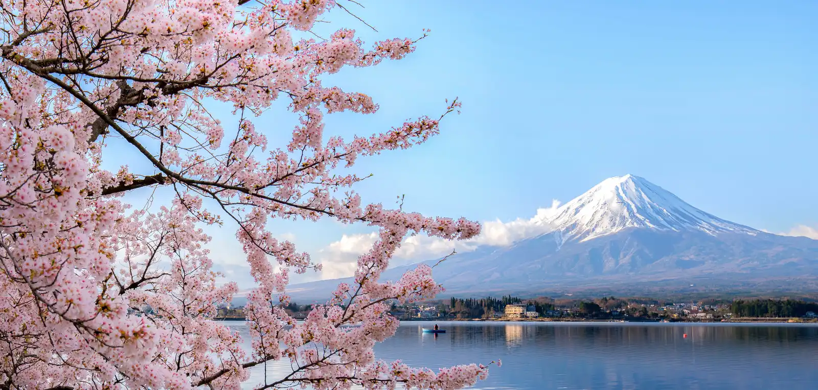 Best Places to See Cherry Blossoms