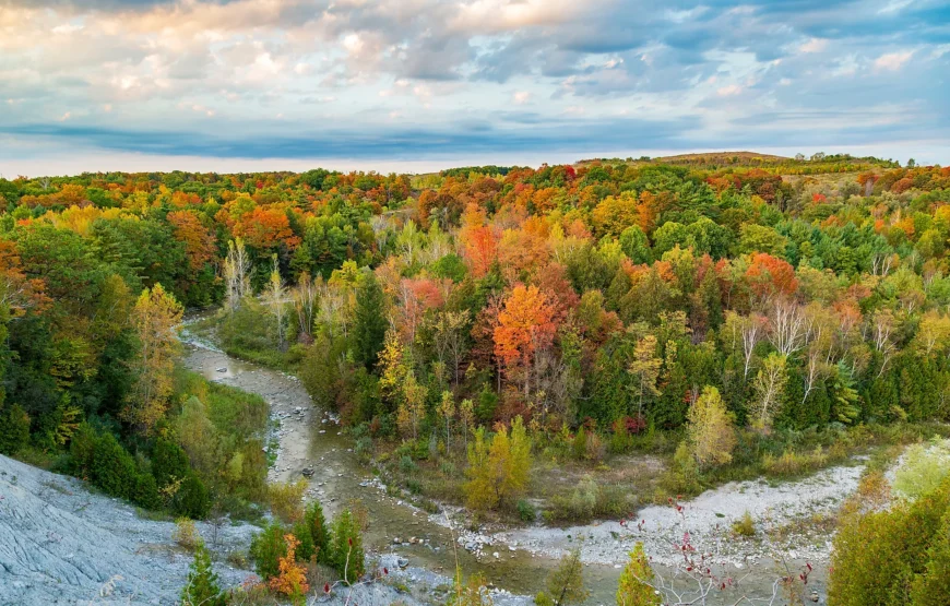 Hiking Adventure in Rouge National Urban Park with MY IVVI